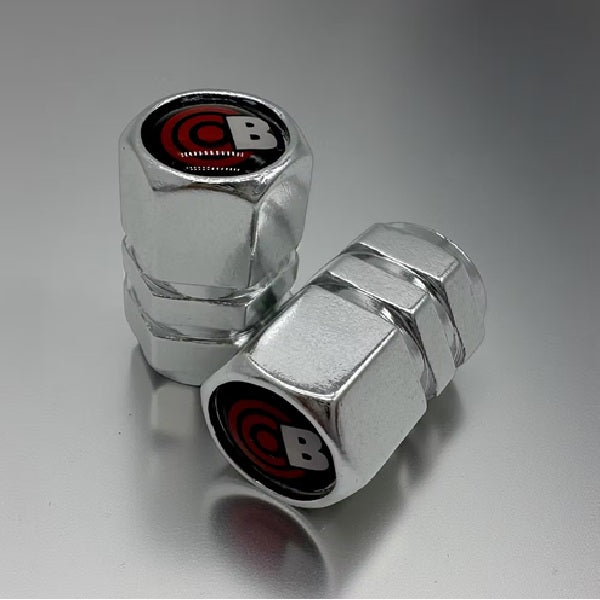 Bullseye Alloy Schrader Valve Stem Caps, Pair - Silver