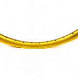 TNT M80 29" x 1.75" 36h (622mm) Double Walled Rim - Gold